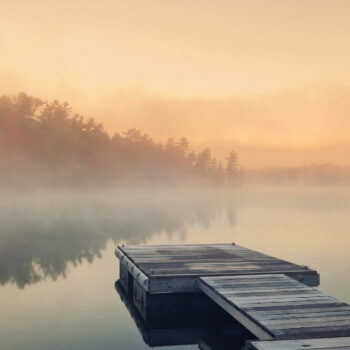 a moment of serenity by the lake