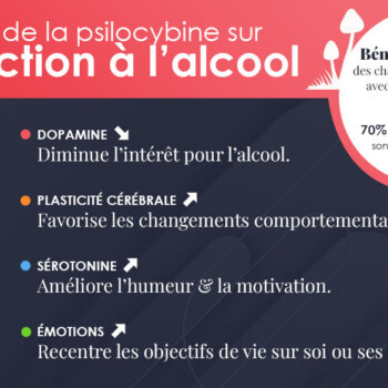 Infographie : les effets de la psilocybine sur l'alcoolisme