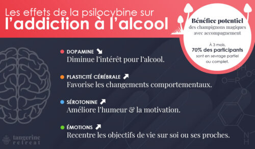 Infographie : les effets du traitement alcoolisme par la psilocybine