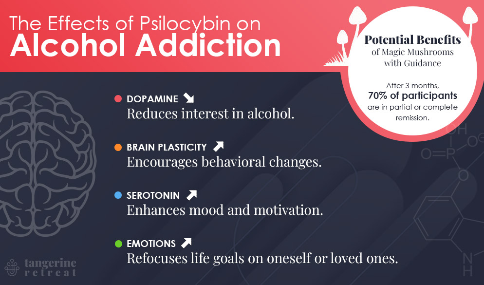 Treating Alcoholism with Psilocybin