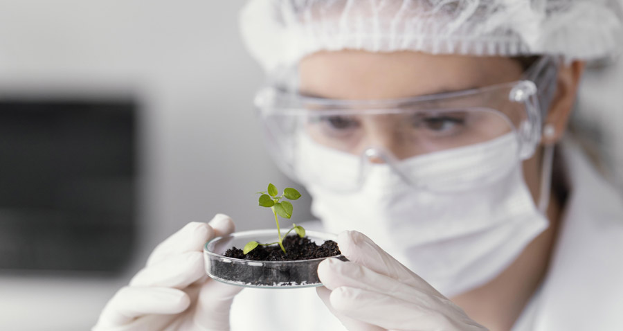 Une chercheuse de laboratoire s'intéresse aux propriétés médicales d'une plante
